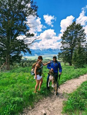 What is a Trail Bike: A Journey Through the Wild and the Mechanical